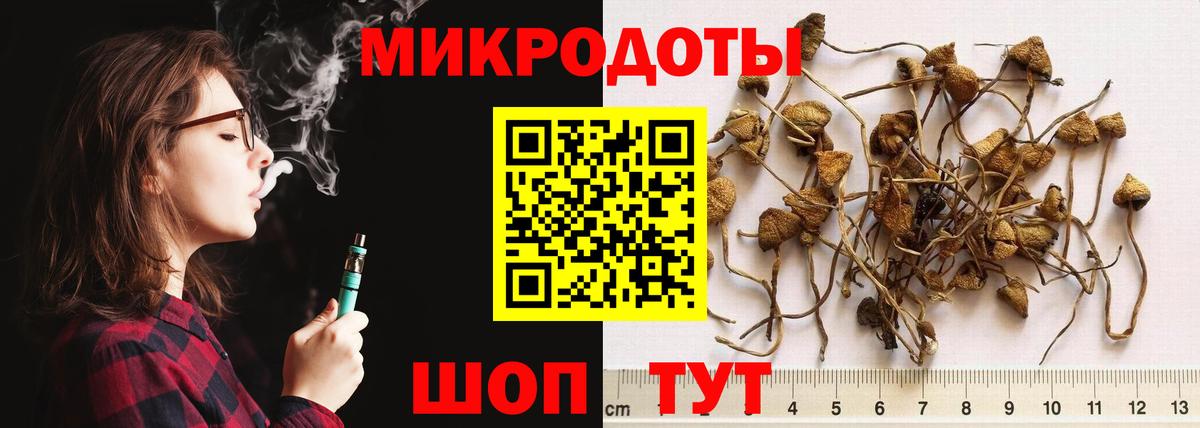 Великий Новгород  Галлюциногенные грибы мицелий  Галлюциногенные грибы ЛСД  Вход с VPN 
