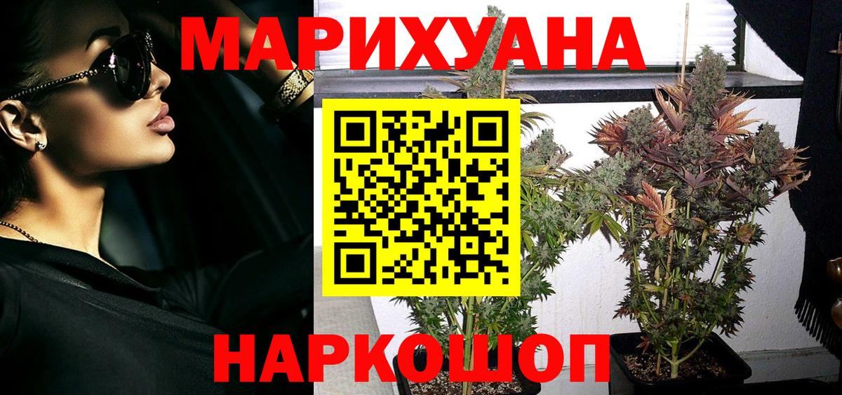 Марихуана индика  Бошки марихуана THC 21%  Конопля план  Вход с VPN  Великий Новгород 
